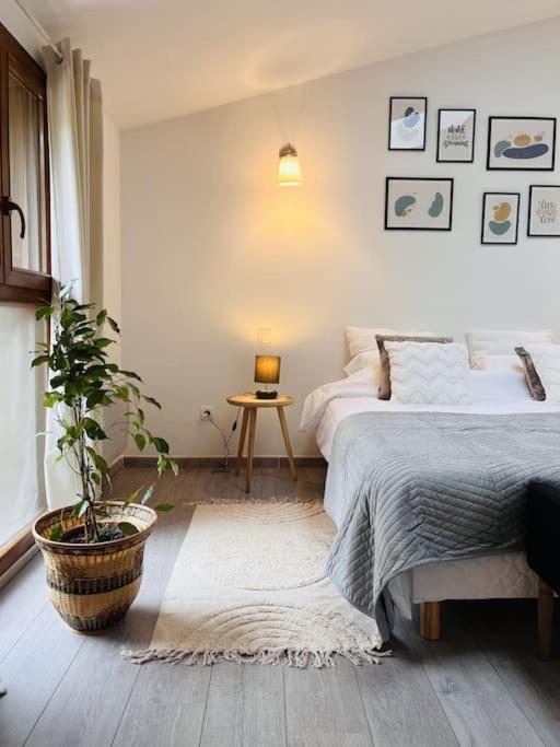 Apartment Superbe Maison Plein Centre Merville (Haute-Garonne)